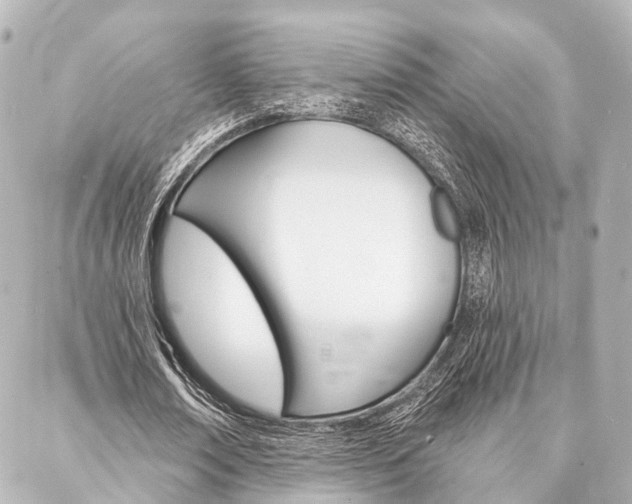 X0000088200674200705151026