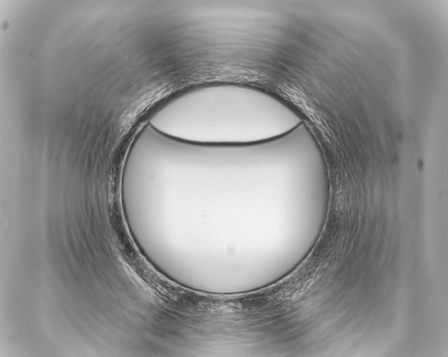 X0000088200683200705151026