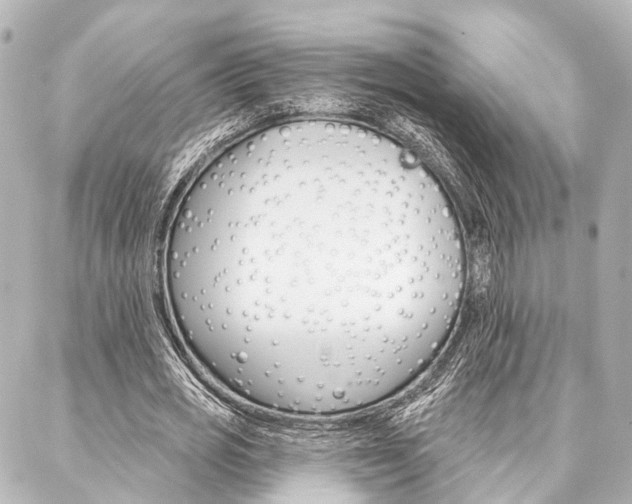 X0000088200725200705151025