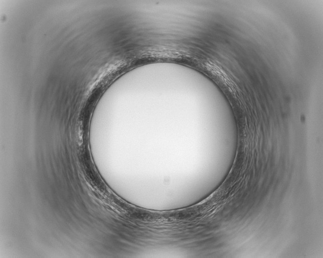 X0000088200731200705151025