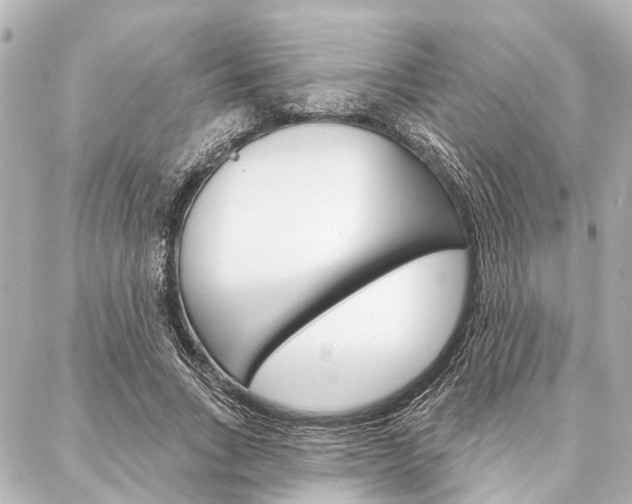 X0000088200735200705151025