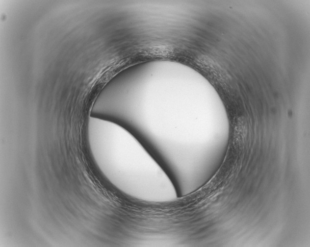 X0000088200739200705151025