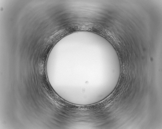 X0000088200741200705151025