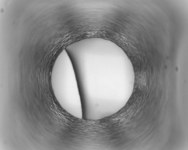 X0000088200770200705151025