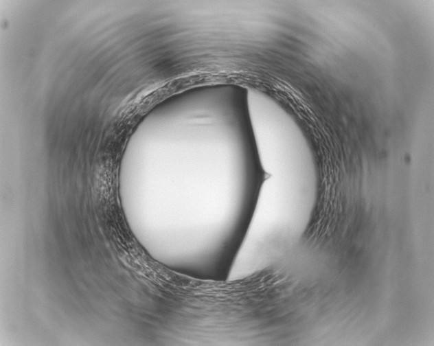 X0000088200773200705151025