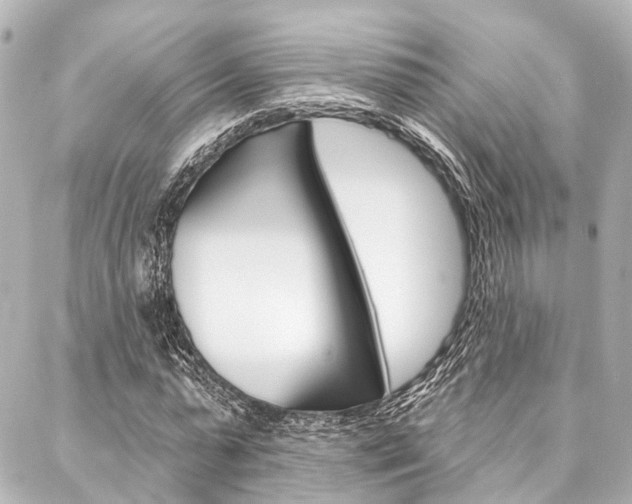 X0000088200775200705151025