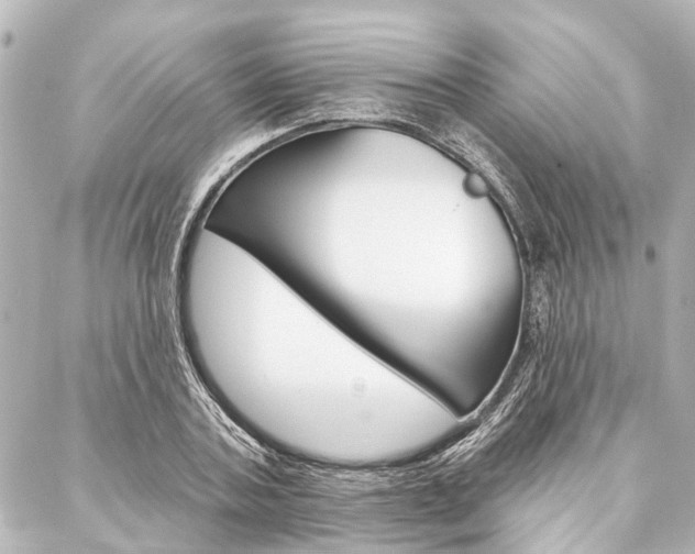 X0000088200787200705151024