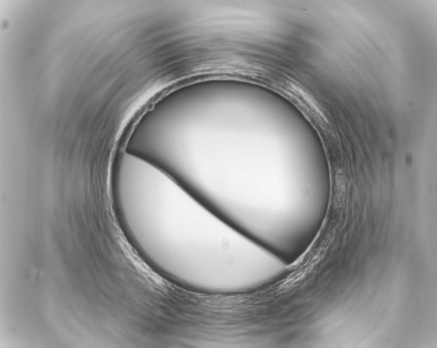 X0000088200788200705151024