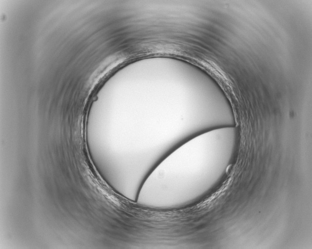 X0000088200790200705151024