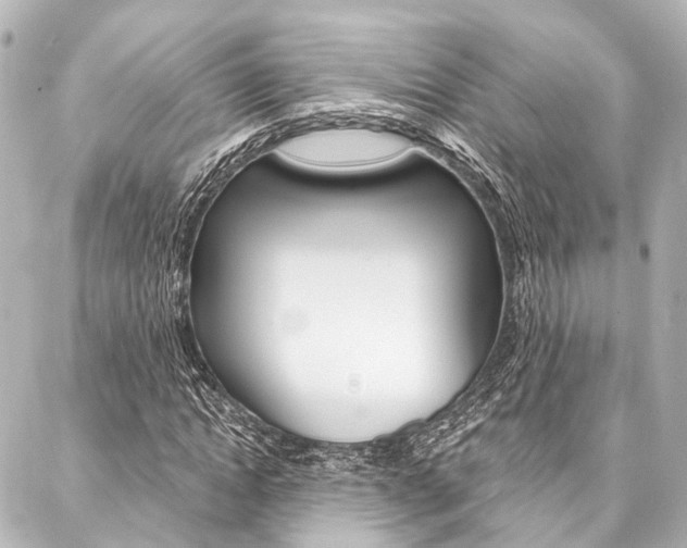 X0000088200822200705151023