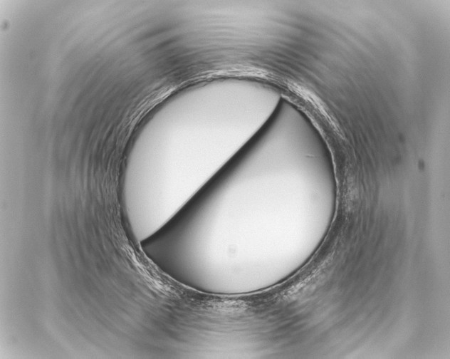 X0000088200833200705151023