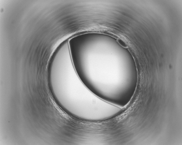 X0000088200838200705151024