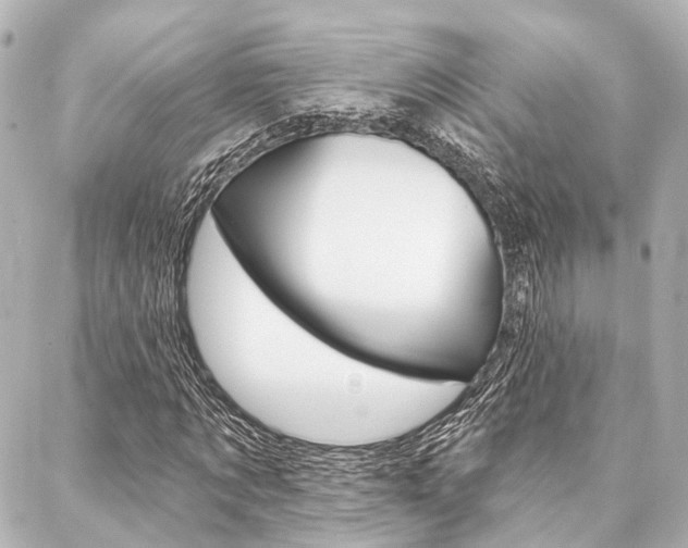 X0000088200869200705151023