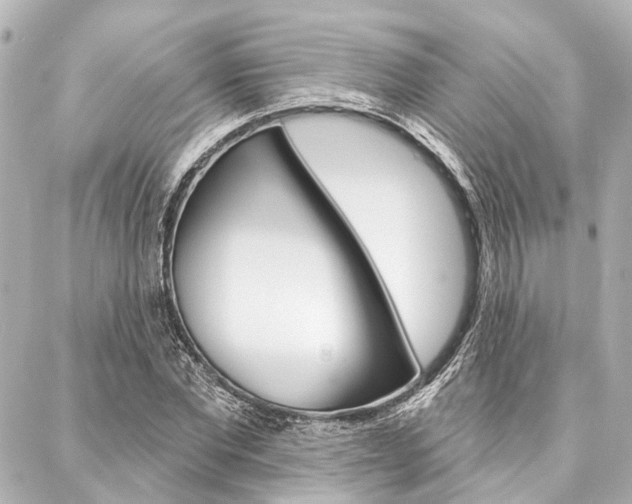 X0000088200877200705151023