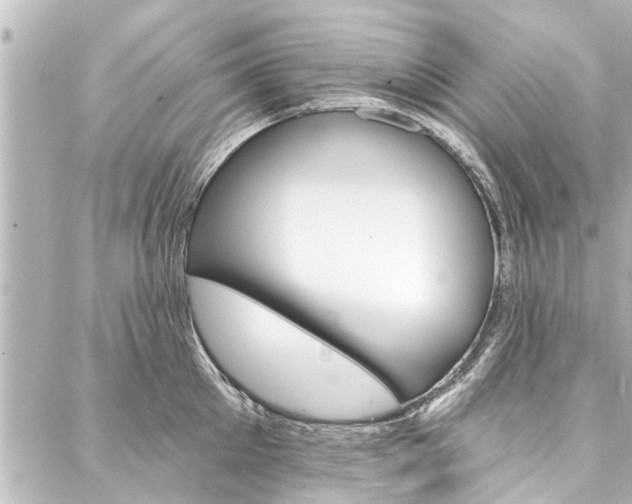 X0000088200905200705151023