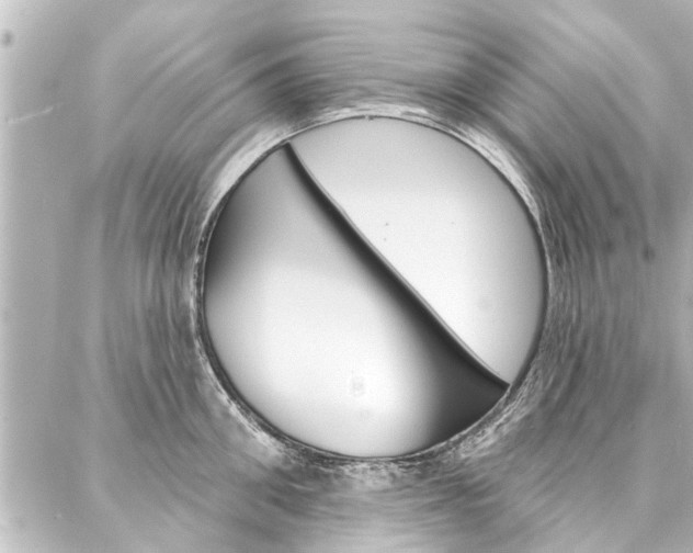 X0000088200906200705151023