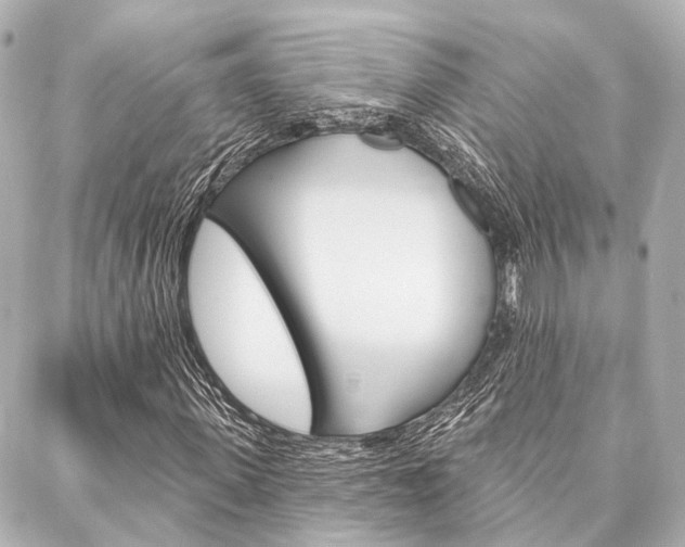 X0000088200915200705151022