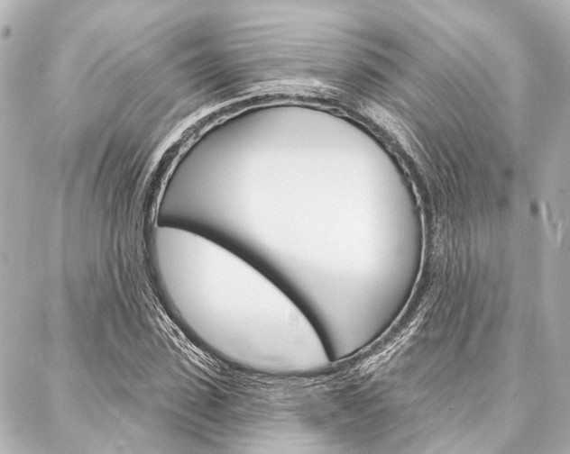 X0000088200923200705151022