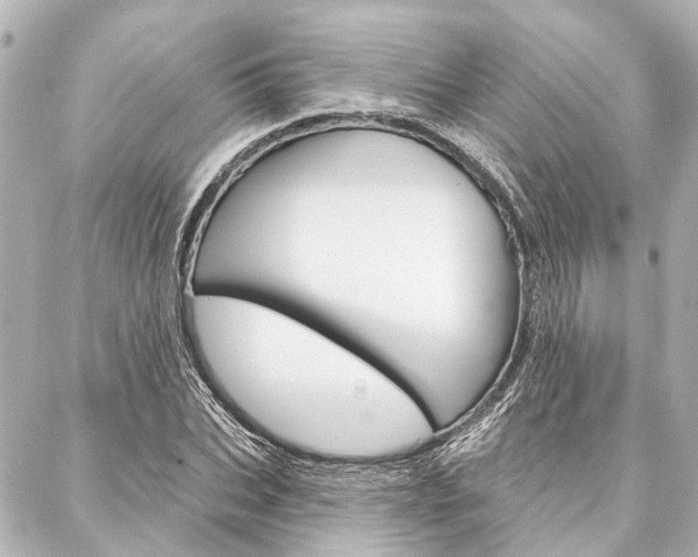 X0000088200927200705151022
