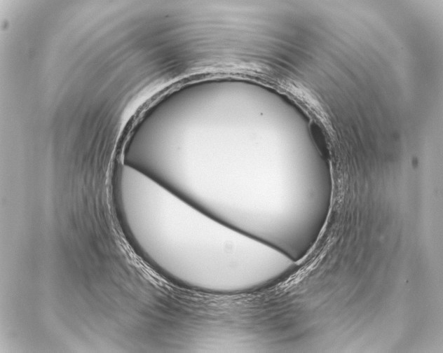 X0000088200928200705151022