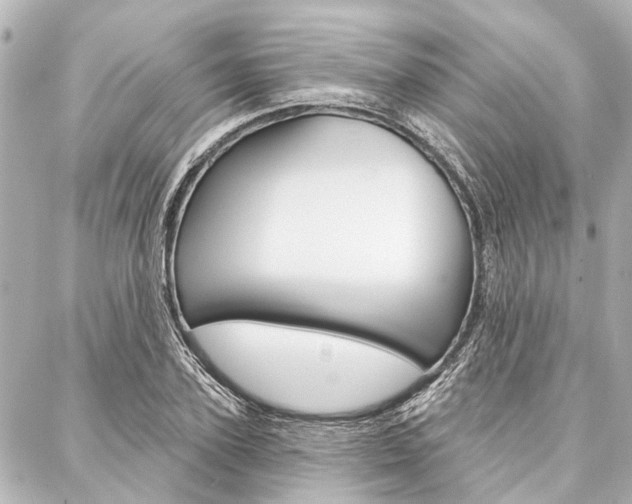 X0000088200931200705151022