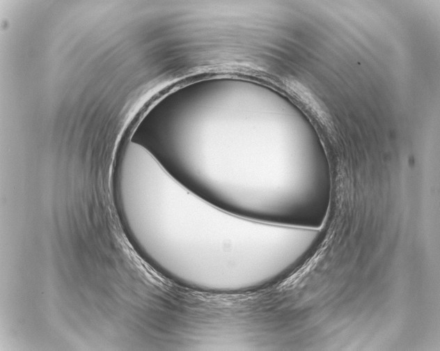 X0000088200932200705151022