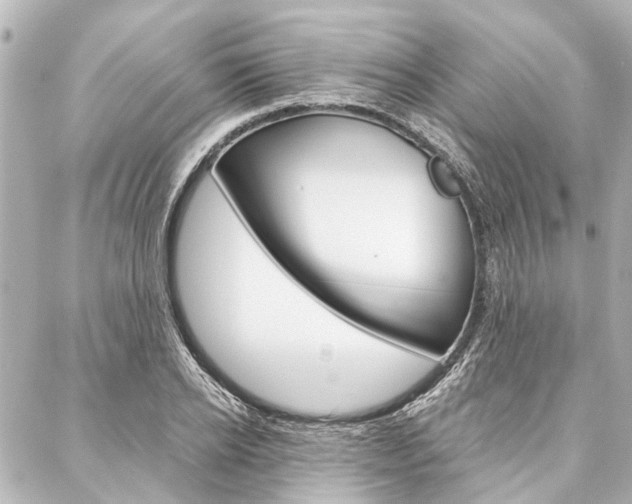 X0000088200934200705151022