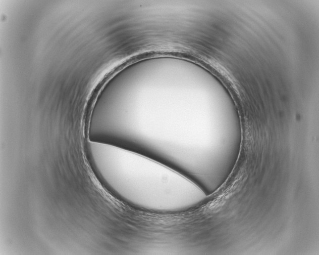 X0000088200935200705151022