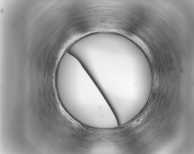 X0000088200958200705151022