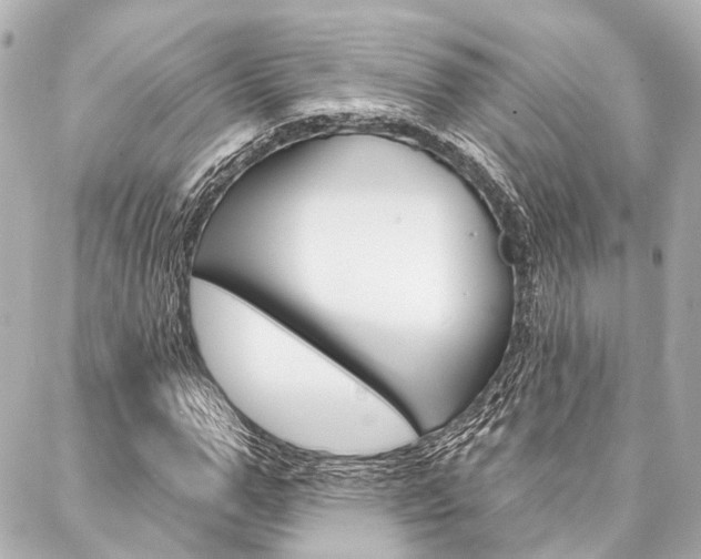 X0000088200967200705151022