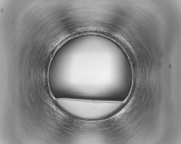 X0000088200969200705151022
