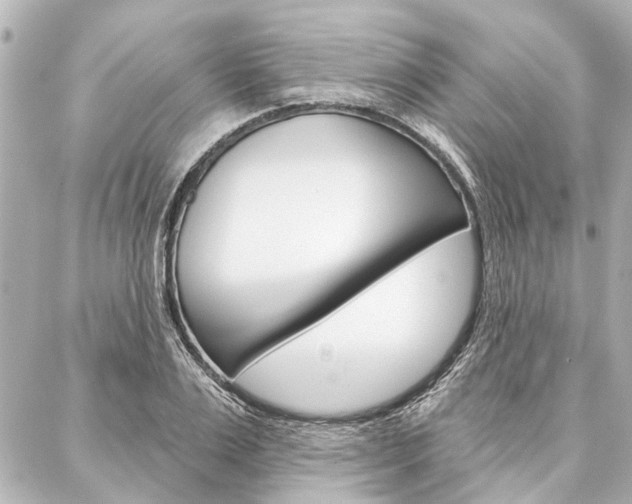 X0000088200983200705151021