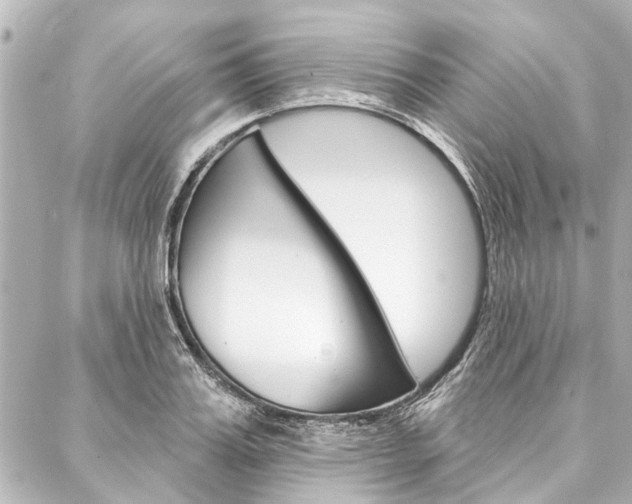 X0000088200987200705151021