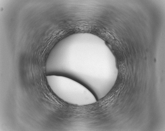 X0000088201009200705151020