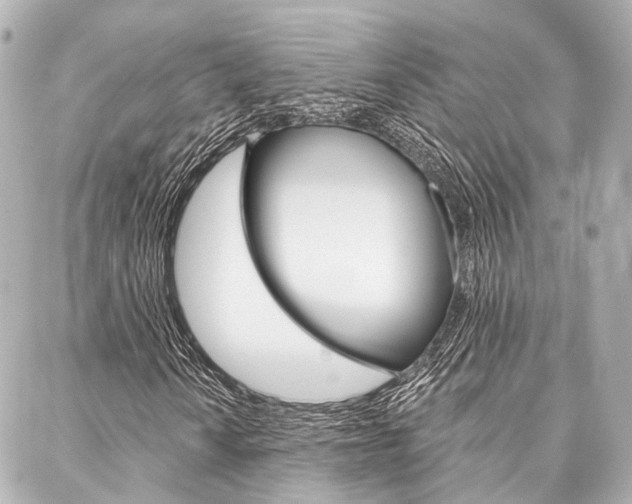 X0000088201010200705151020