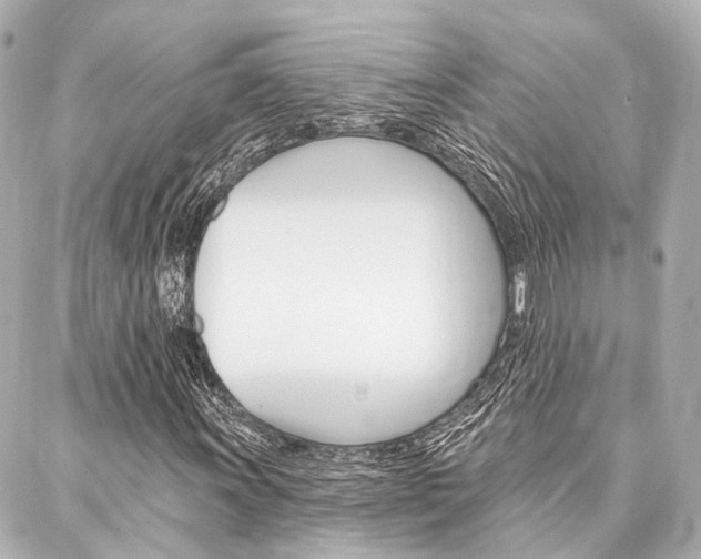 X0000088201011200705151020