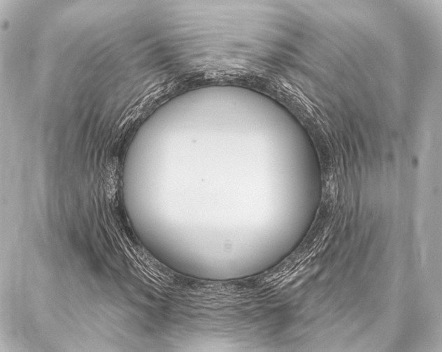 X0000088201012200705151020