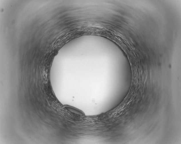X0000088201013200705151020