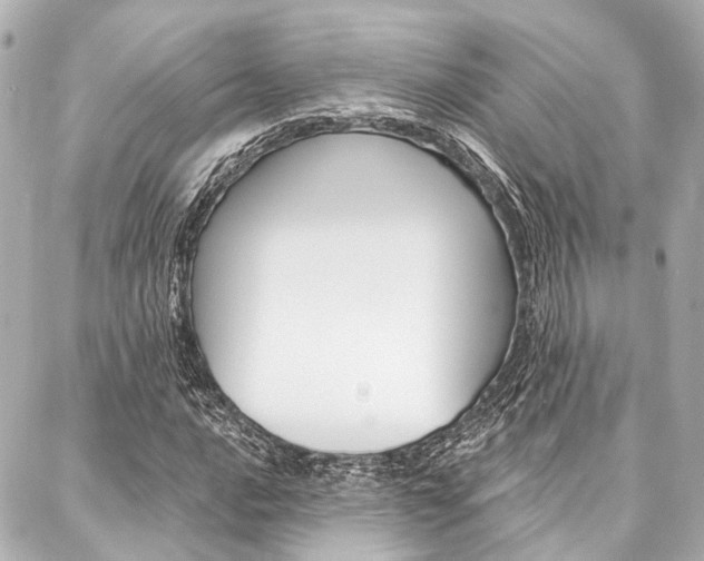 X0000088201016200705151020
