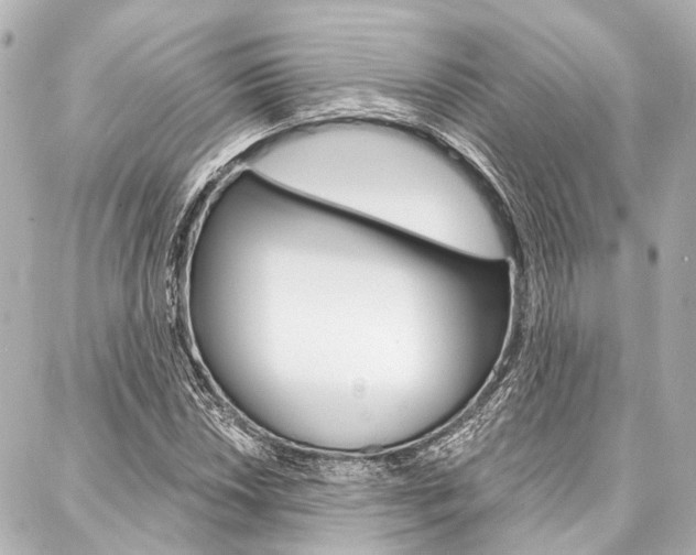 X0000088201018200705151020