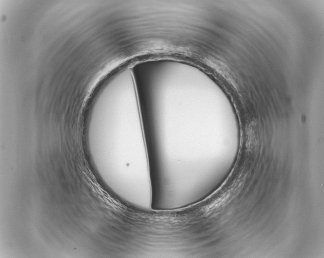 X0000088201021200705151020