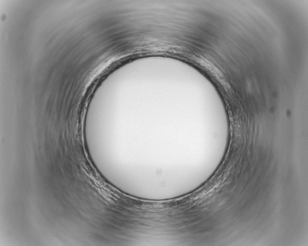 X0000088201023200705151020