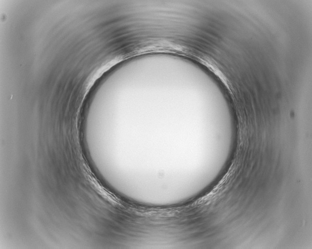 X0000088201026200705151020