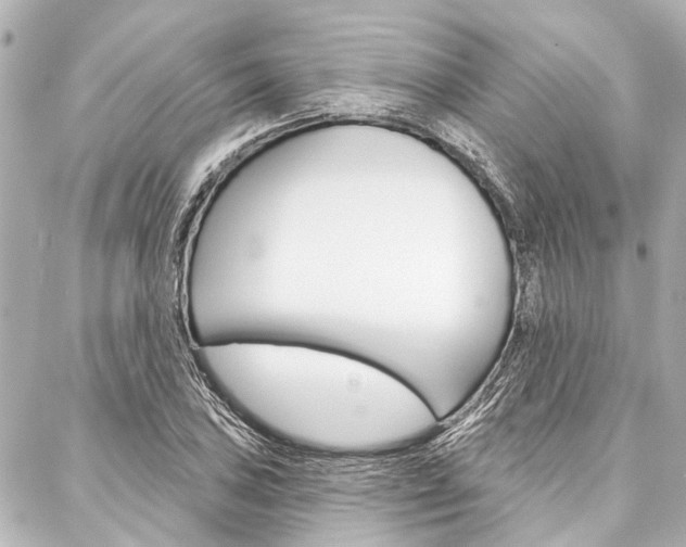 X0000088201027200705151020