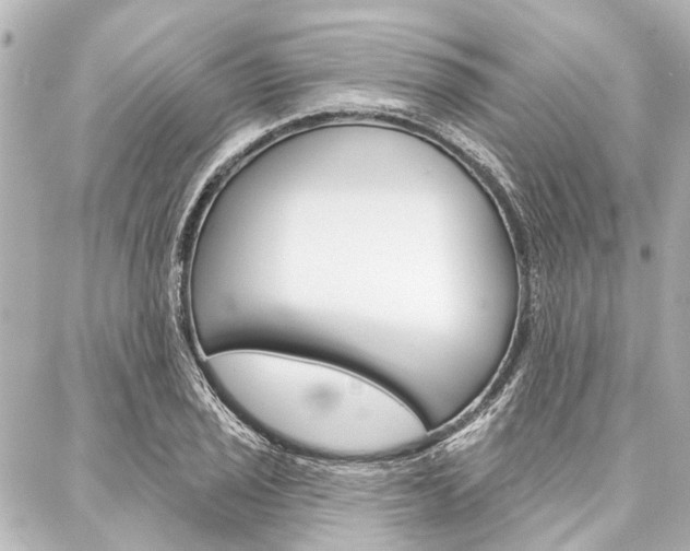 X0000088201029200705151020