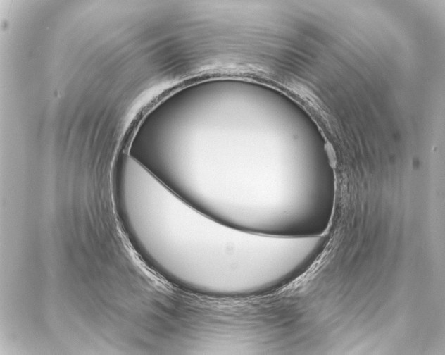 X0000088201030200705151020