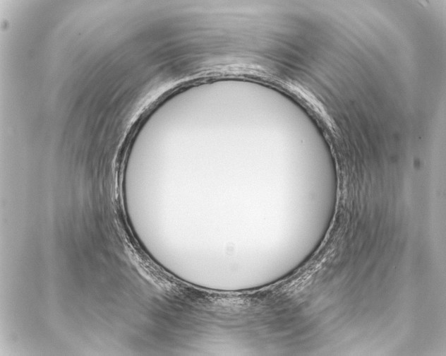 X0000088201031200705151020