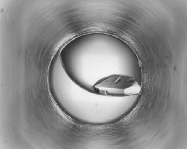X0000088201034200705151021