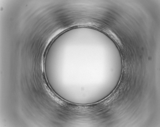 X0000088201036200705151021