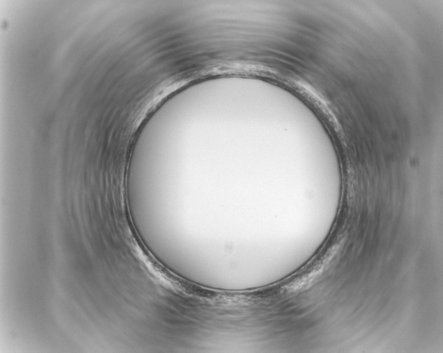 X0000088201041200705151021